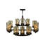 12 - Light Chandelier