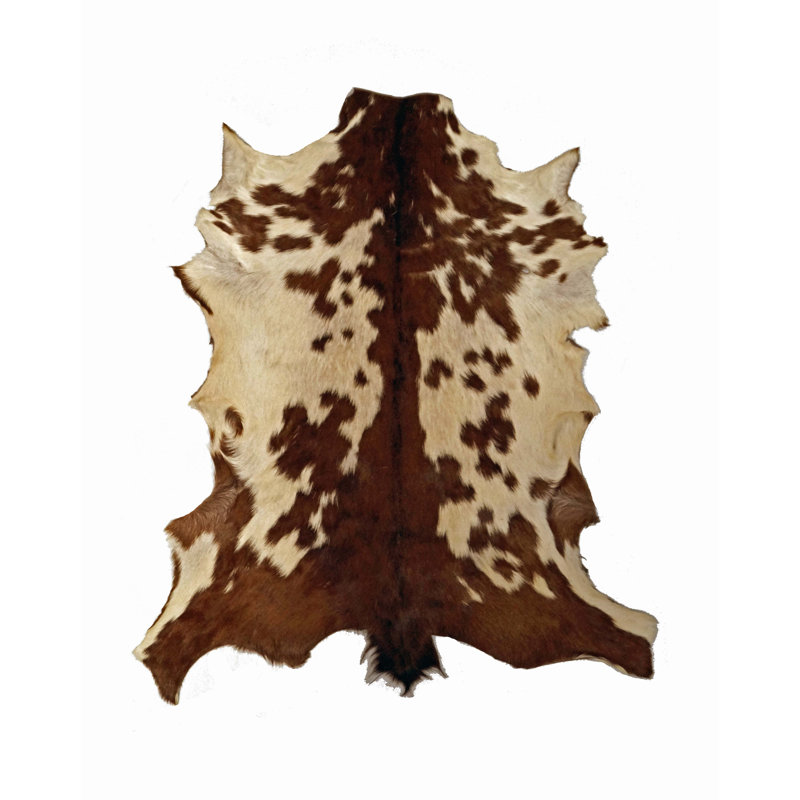 Animal Print Goat Skin Novelty 1'10" x 2'10" Leather Area Rug in Brown/Cream