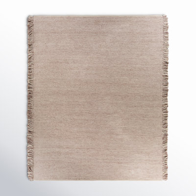 Hinton Handmade Hand Woven Recycled P.E.T. Indoor / Outdoor Area Rug in Taupe/Cream