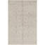 Oriental Area Rug