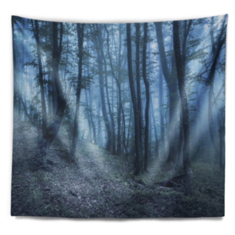 Paysage, paysage, brouillard, forêt, tapisserie, arbres, H 50 po x l 60 po