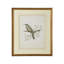 Delicate Birds IV Print