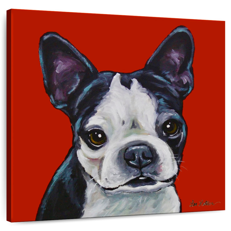 Brampt Sophie Boston Terrier sur fond rouge, H 24 po x l 24 po