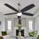 Ceiling Fan with LED Lights