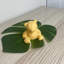 Gidney Mini Bear Ornament Statue-269502695