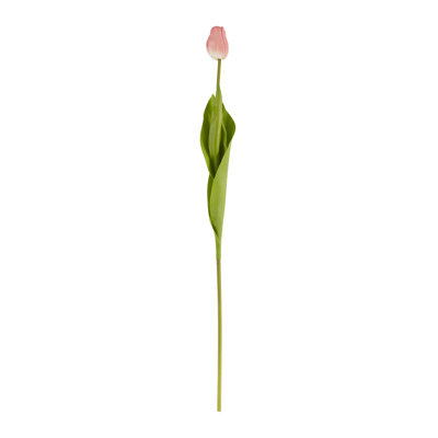 Ensemble de 12 tulipes tiges florales