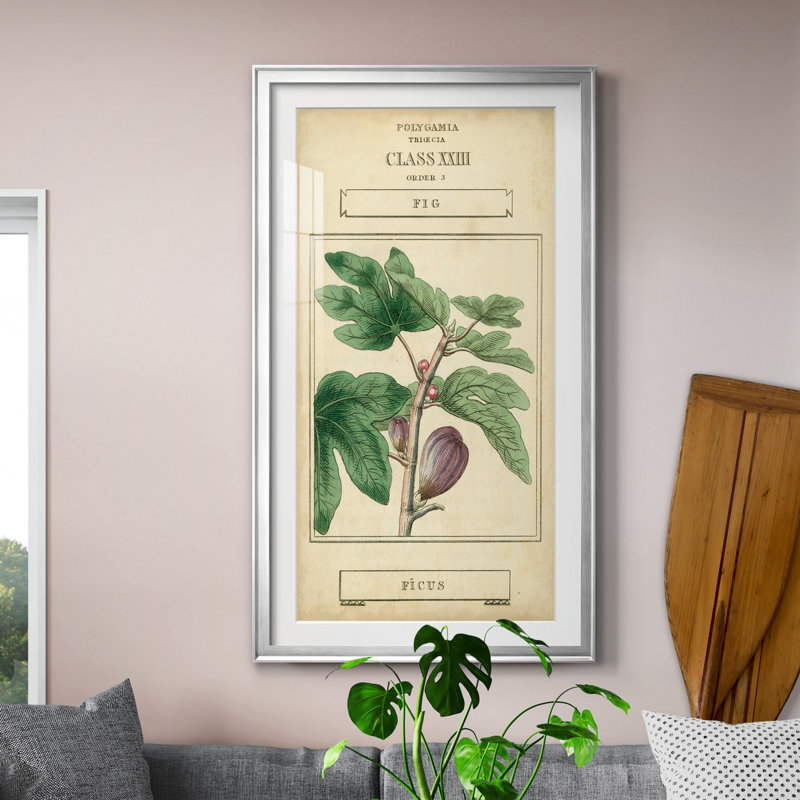 Linnaean Botany VI - Peinture sur toile encadrée, Argent, H 10,5 po x l 18,5 po x P 1,5 po