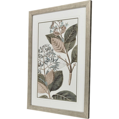 Floraison botanique III