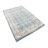 Oriental Indoor Rug-1623787369
