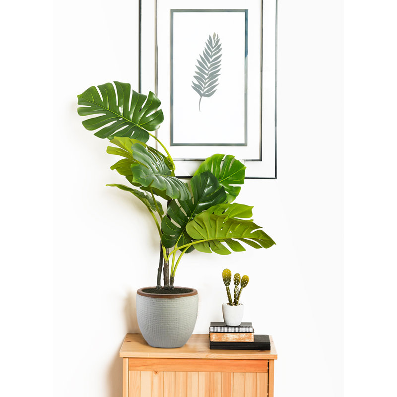 Sierra Crest Ceramic Planter – Textured Stone White Pot With Earthy Rim, Indoor & Outdoor Plant Container, Home, Office, Restaurant Decor, 11.5" Diameter & 7" Tall