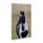 Black & White Foal Canvas by Dennis Frates-515990172