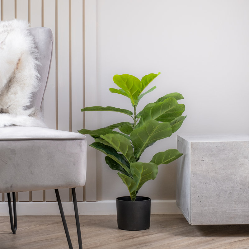 70cm Faux Real Touch Fiddleleaf Fig Tree
