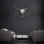 Rodeo Wall Décor