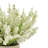 Ferdinand Heather Arrangement in Pot-28784520