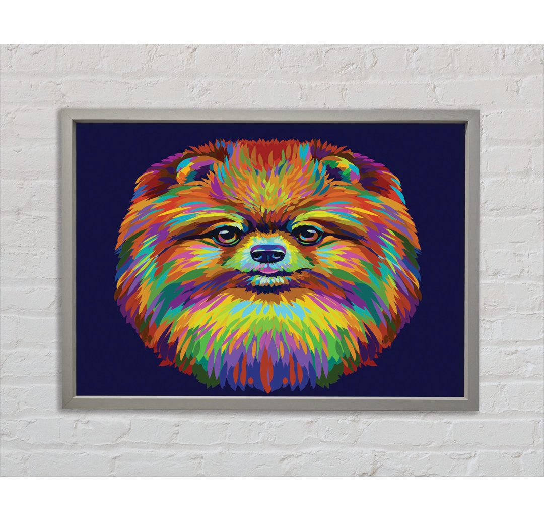 Großer flauschiger Pomeranian - Einzelner Bilderrahmen Kunstdrucke auf Leinwand