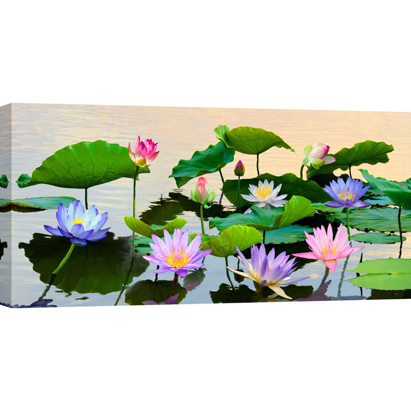 Flowered Pond by Teo Rizzardi - Wrapped Canvas Print, 35cm H x 70cm W