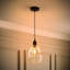 Dellis 1 - Light Pendant-652866109