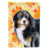 Black/Grey Bernese Mountain