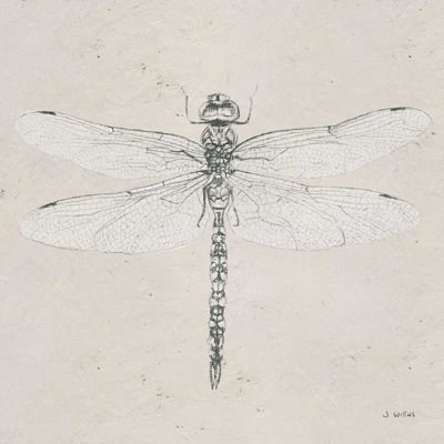 Croquis doux d'été VI