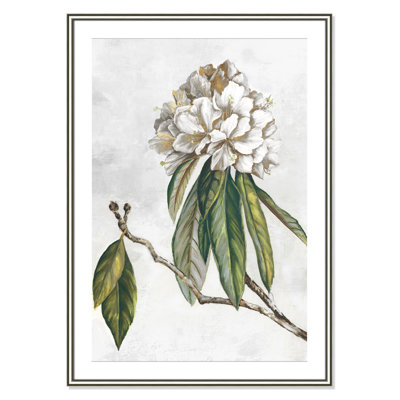«Pearly Beauty II» par Eva Watts