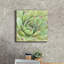 "Epic Graffiti" Garden Succulents 4 Color "par Laura Marshall, art mural sur toile-1170259906