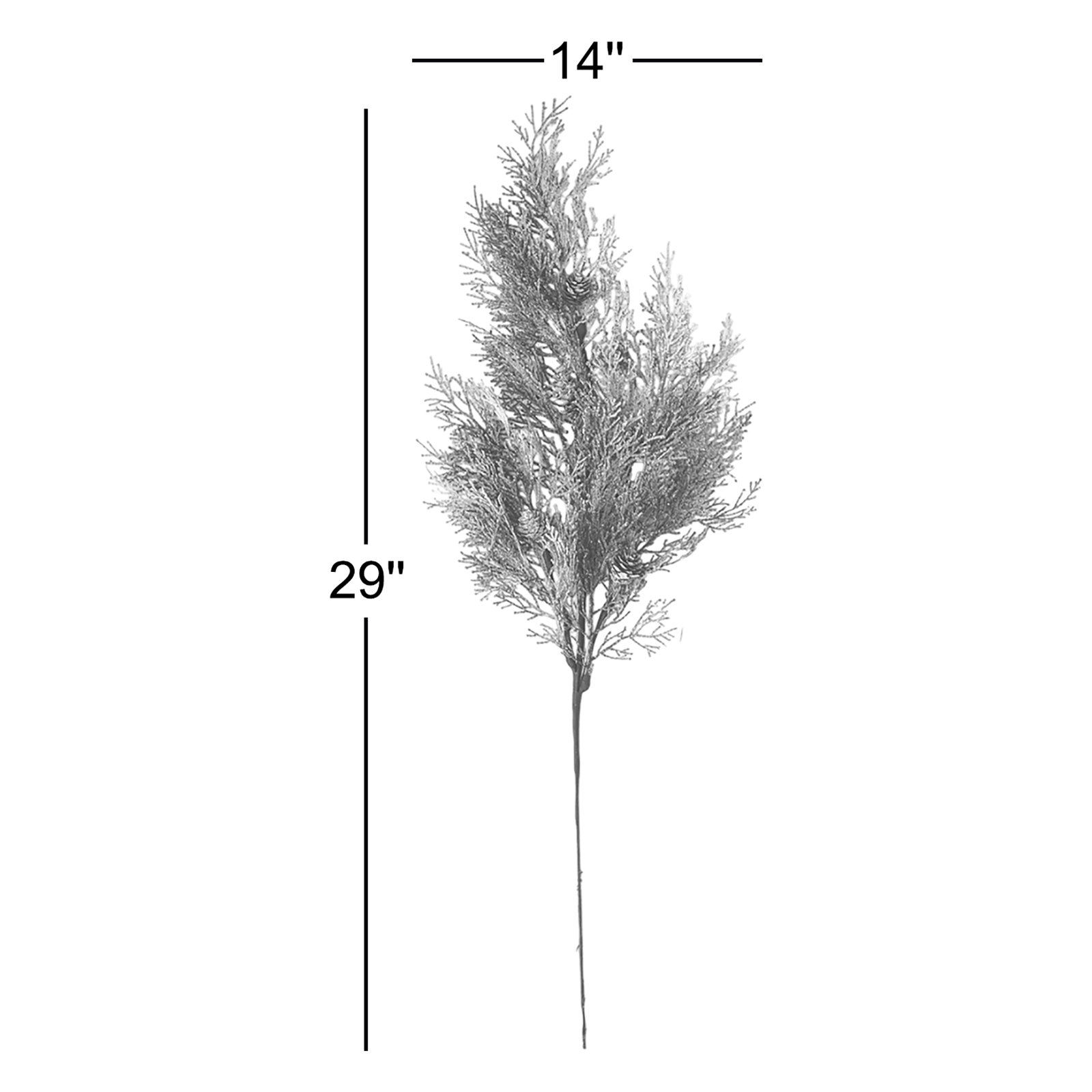 Frosted Cedar Stems