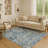 Premium Machine Washable Ariel Global Rug-1005852344