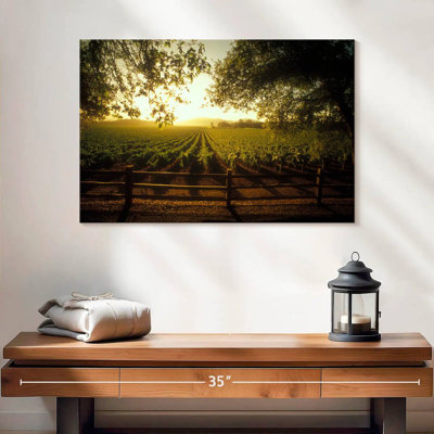 Alvord Oakville Vineyard