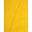 Autumn Leaf Print by Philippe Monthoux-65796456-65796458