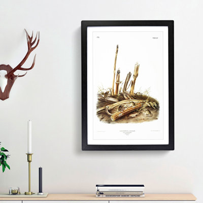 Harvest Mice by J.W. Audubon - Picture Frame Painting Print