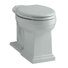 Toilette allongée à hauteur de confort treTaie décorative