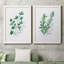 Freshly Picked I - Ensemble de 2 peintures sur toile encadrées-1667209257-1667209259