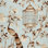 Tissu Oiseaux et Fleurs