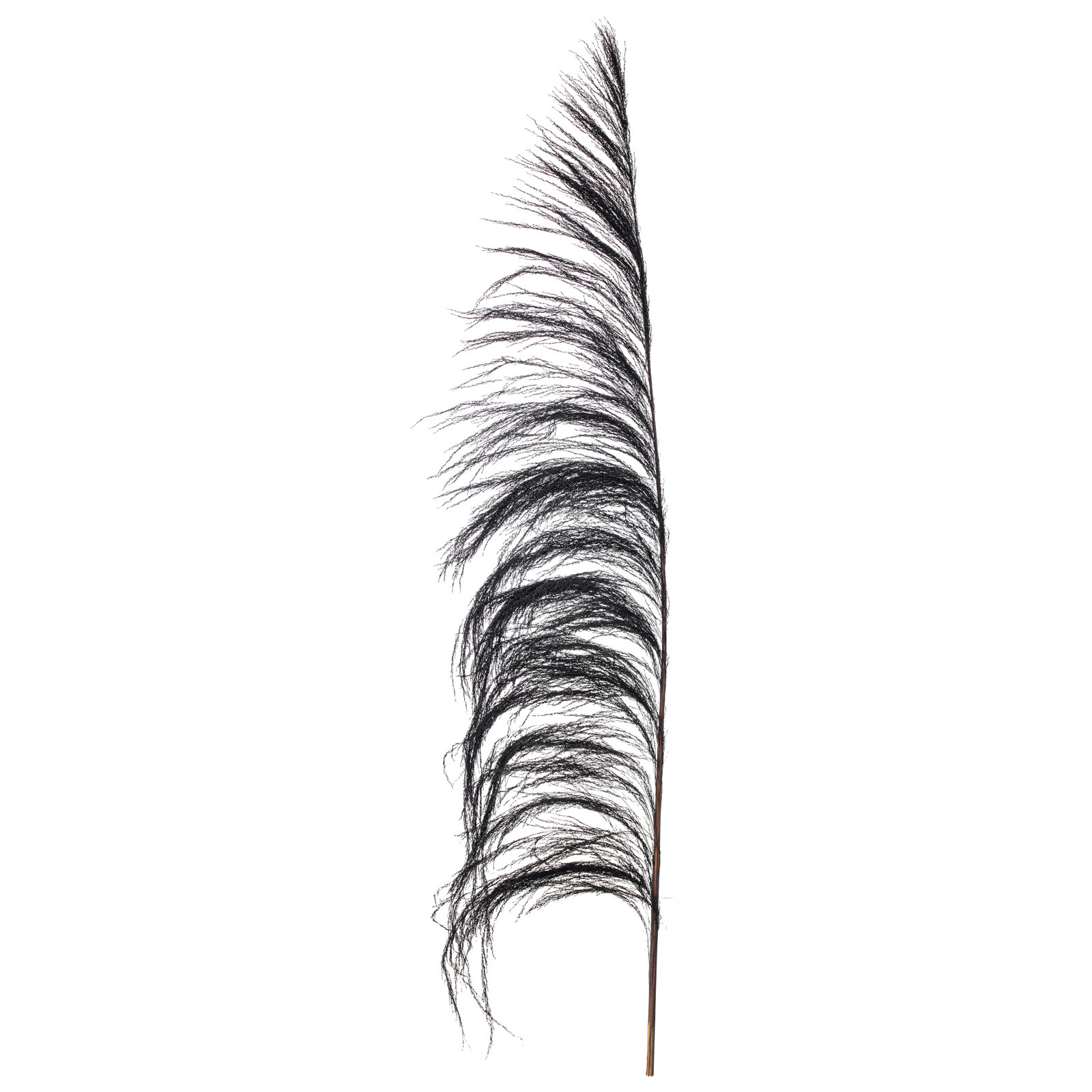 Lei 71'' Palm Plant, Black
