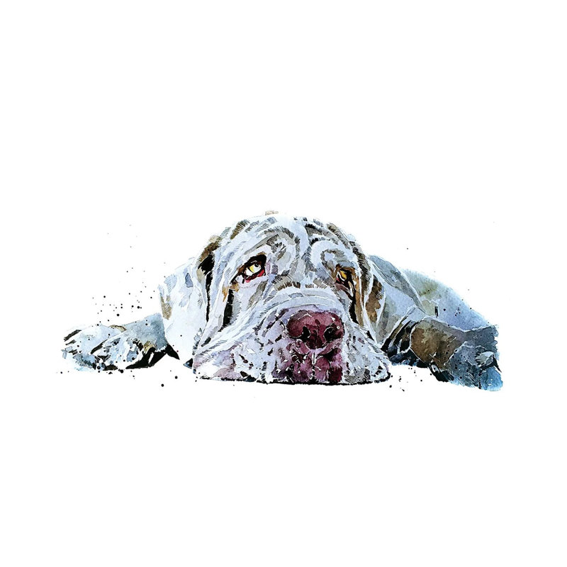 Neapolitan Mastiff Puppy Love - Wrapped Canvas Painting, 20.32cm H x 30.48cm W