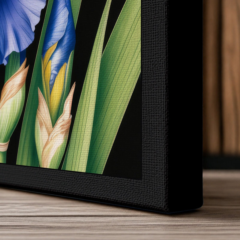 Iris in Blue and Gold Botanical 1 Piece Wrapped Canvas Wall Art, 24x16 - 61.0 x 40.6 cm, Black Border