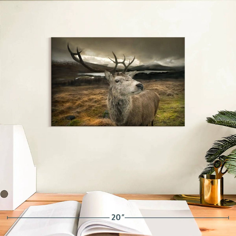 Cerf photogénique, H 8 po x l 12 po