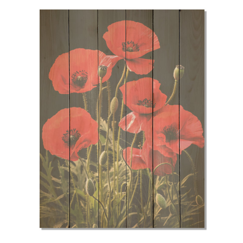Crimson Cascade Poppy Field - coquelicots, art sur bois de pin naturel, H 40 po x l 30 po