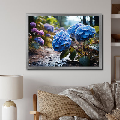 " Blue Purple Hydrangea Field II "