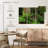 Harnek Hana Rainbow Trees-108157503