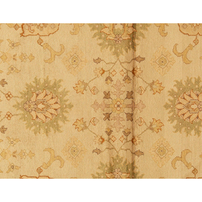 Hand Knotted Wool Oriental Area Rug in Black And Beige