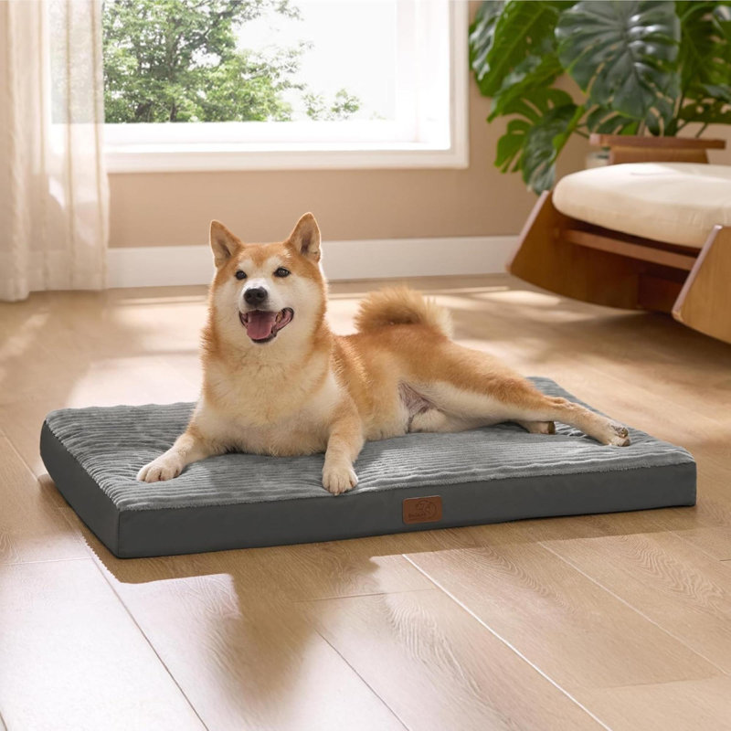 Pet Bed