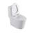 Rainlex 1.6 Gallons GPF Elongated Comfort Height Floor Mounted Close Coupled Toilets (Seat Included)-100078672