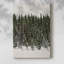 Forêt de sapin de Noël - Cavas enveloppés de galerie-975454766