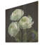 Ranunculus blanc, couches de beauté - renoncule sur bois-1902905026