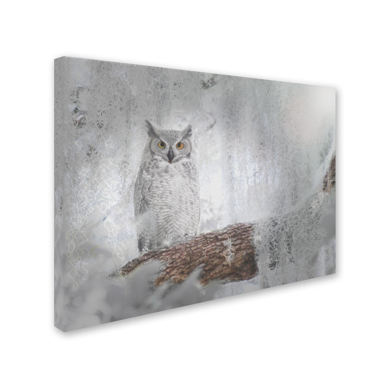 'Owl Dreams' Photographic Print on Wrapped Canvas, 14" H x 19" W x 2" D