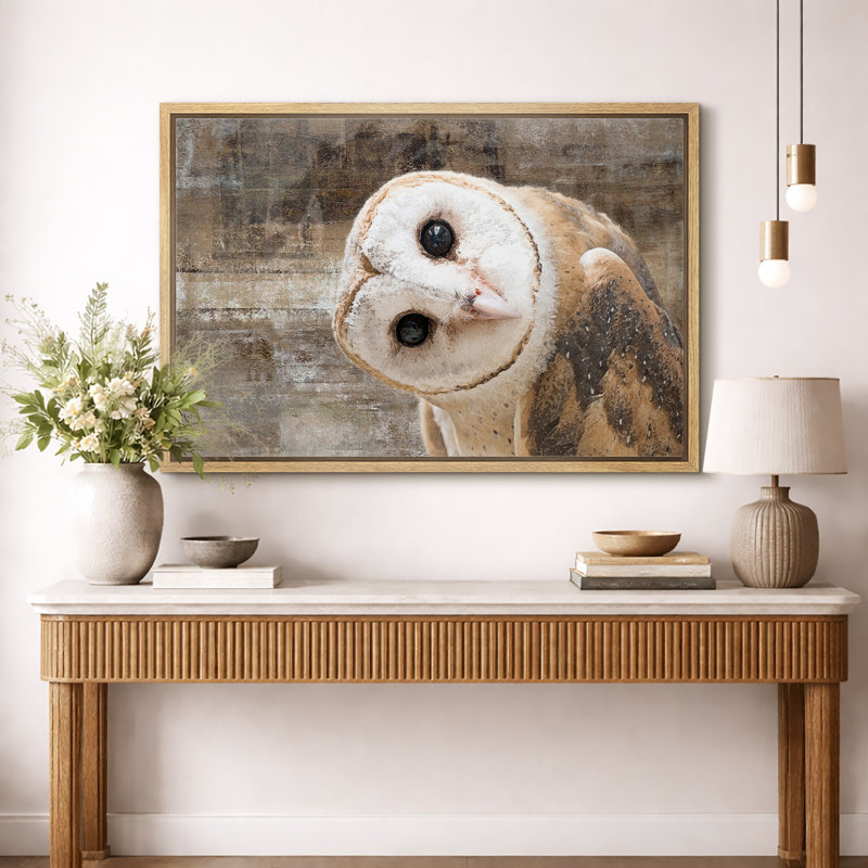 «Bird Bird Curious Owl Look» (Tyto Albahead), tête en gros plan sur toile, H 16 po x l 24 po, Impression encadrée, Naturel