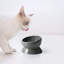 Bol surélevé pour chat-114688971-50625644