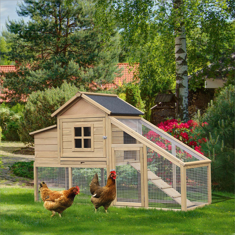 Poulailler en bois de qualité supérieure avec des caractéristiques avancées pour les poules heureuses
