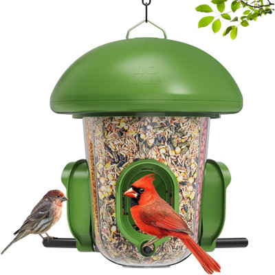 LONA Weatherproof Bird Feeder, Green, 800ml